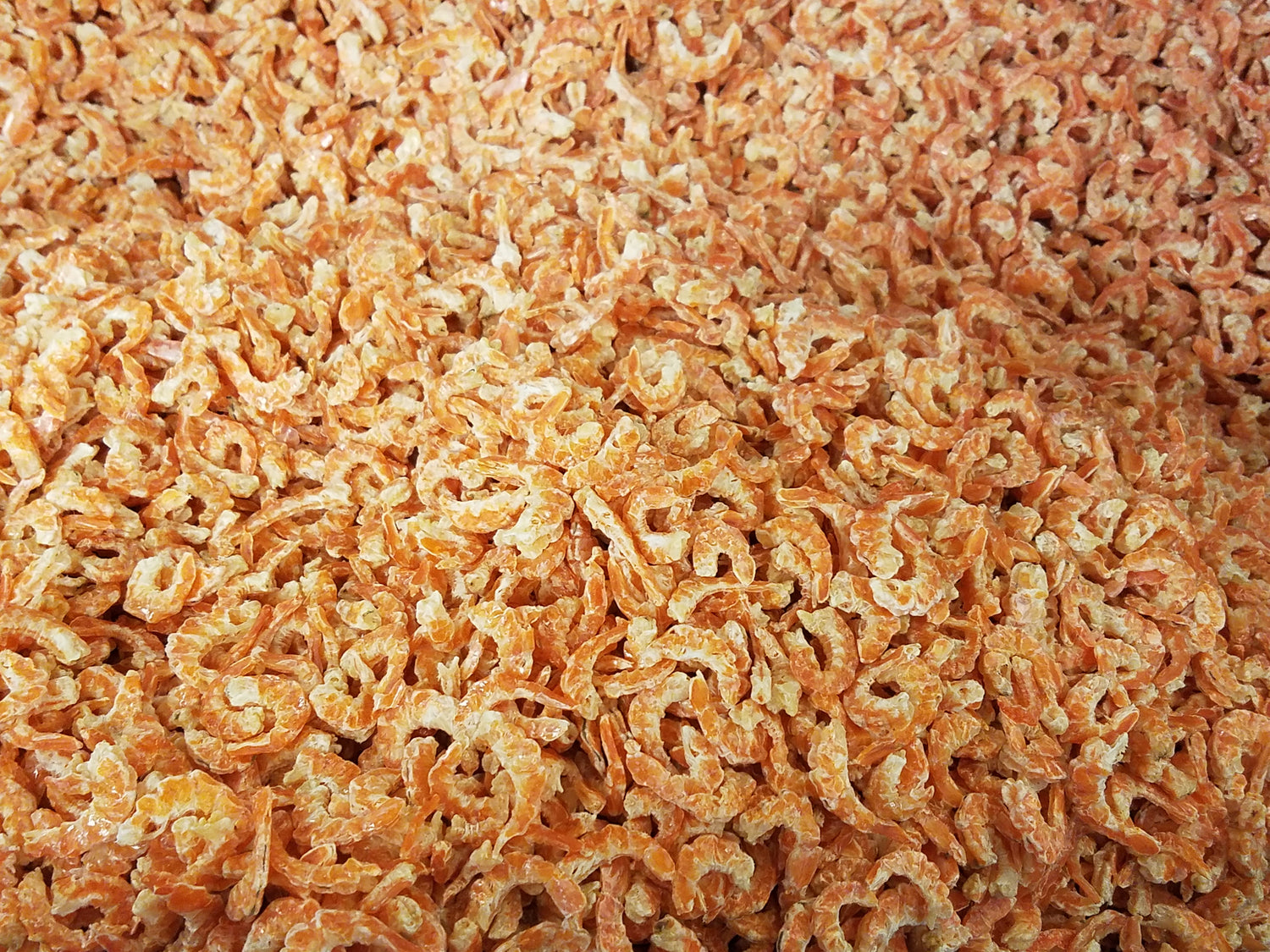 About Us Louisiana Dried Shrimp Co.