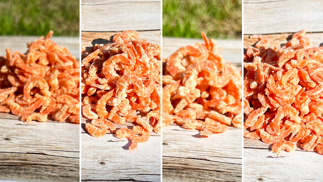 to Louisiana Dried Shrimp Co! Louisiana Dried Shrimp Co.